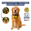 Tierfreundliches Anti-Bell Halsband